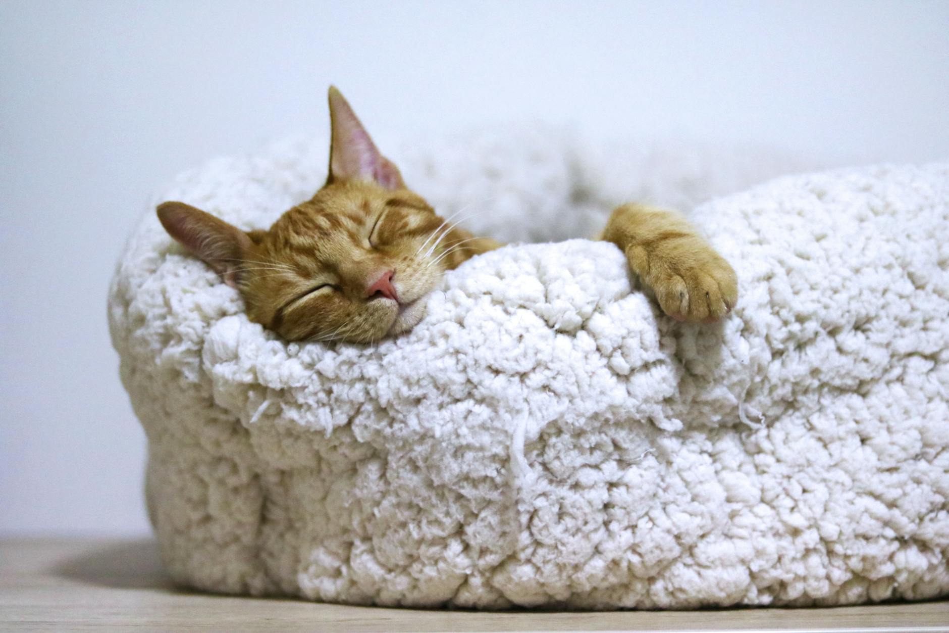 Sommeil récupérateur